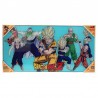 Poster cristal heroes Dragon Ball Z