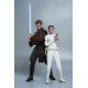 Anakin Skywalker Hot Toys