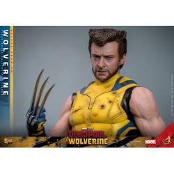 Wolverine (Deluxe Version) HOT TOYS