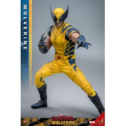 Wolverine (Deluxe Version) HOT TOYS