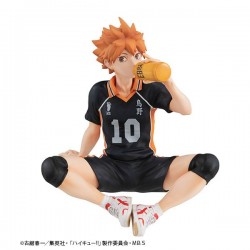 Hinata Shoyo Palm Size G.E.M. Series